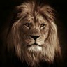 12 D profil fotoğrafı