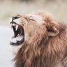 HampshireV3's profile picture