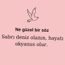 Murat Erkin's profile picture