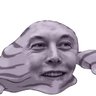 Profilbild von Elon Muk