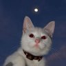 Profilbild von raise