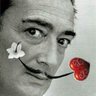 Profilbild von Vujisicm