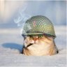 Ewa IKS's profile picture