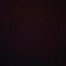 xq3's profile picture