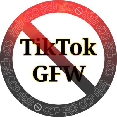 BanGFW2's profile picture