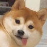 Andn's profile picture
