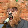 Shaun's profile picture