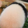Profilbild von as