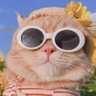 ส่องแสง profil fotoğrafı