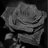 🖤ALONE🖤's profile picture