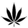 MidWest Cannabis's profile picture