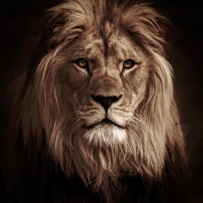 Real Housewife Junkie's profile picture
