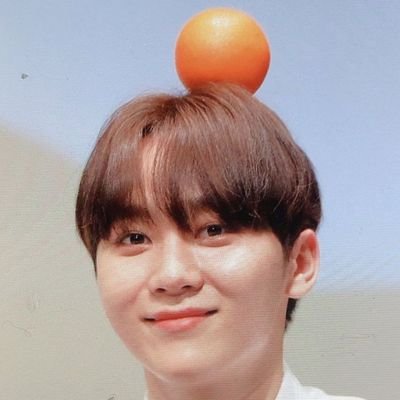 seungkwan's bff \⁷ 🧸🐶's profile picture