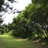 Mariana Almeida @planetindanger's profile picture
