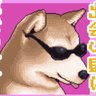 わたる 的头像