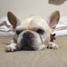 yuki's profile picture