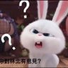 兔子 的头像