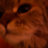 Profilbild von seqcr