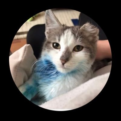 Kulaksızfiphastası's profile picture