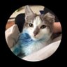Kulaksızfiphastası's profile picture