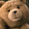 teddy profil fotoğrafı