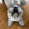 Bdub 的头像