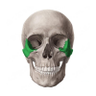 Arco Zigomatico 💀 profil fotoğrafı