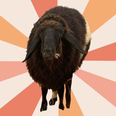מחוץ לעדר's profile picture