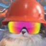 dookie shoes's profile picture
