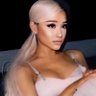 rose メ𝟶's profile picture