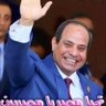 Mostafa's profile picture