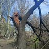вомбат's profile picture