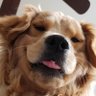 wei's profile picture