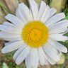 Jane profil fotoğrafı