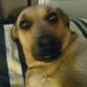@cuestion de actitud's profile picture