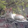 Odoy68 profil fotoğrafı