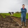 Sjoerd de Vries's profile picture