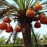 Фото профиля طالب ربه