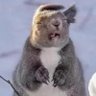 Profilbild von Miguel
