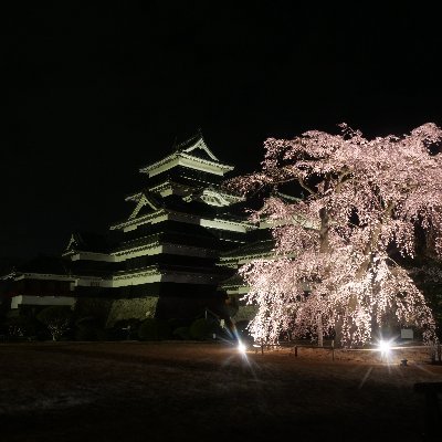 信州での暮らしは毎日が観光気分(⋈◍>◡<◍)。's profile picture