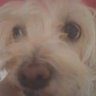 Profilbild von Gatoloco