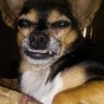 Jrpools's profile picture