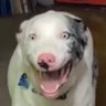 Фото профиля AHHHHHHHHHH