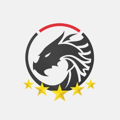 TEAMCNOWWC's profile picture
