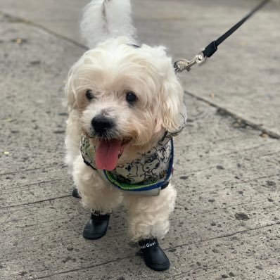 kinderlola's profile picture