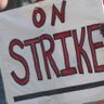 humanOnStrike 🏳️‍🌈 profil fotoğrafı