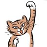 ₍₍⁽⁽🐈₎₎⁾⁾'s profile picture