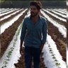 pk___ KumaR profil fotoğrafı
