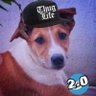 நாய்க்குட்டி 2.0 (The Dog) 的头像