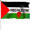 Kaeshur (کأشُر) 🇵🇸🍁 profil fotoğrafı